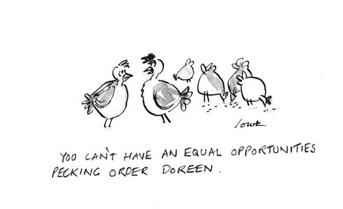 'You can't have an equal opportunities pecking order Doreen.'