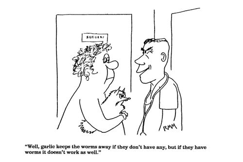 'Well, garlic keeps the worms away if they don't have any, but if they have worms it doesn't work as well.'