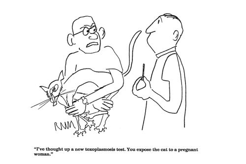 'I've thought up a new toxoplasmosis test...'