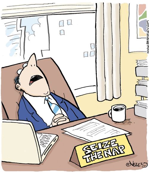 Desk plaque: 'Seize the nap.'