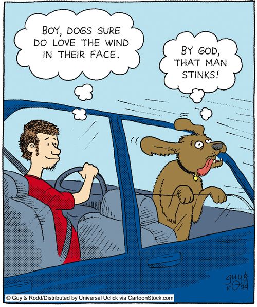 'By god that man stinks!'