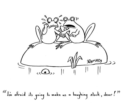 'I'm afraid it's going to make us a laughing stock, dear!'