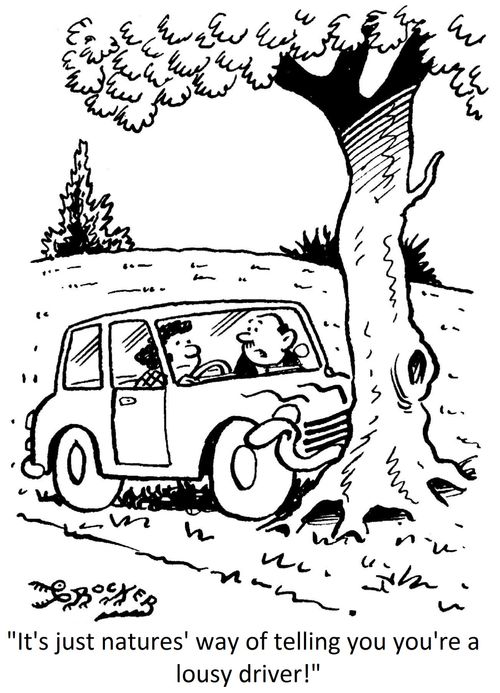 'It's just natures' way of telling you you're a lousy driver!'