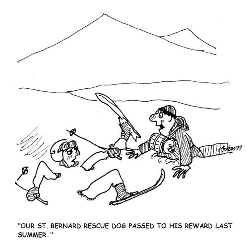 'Our St. Bernard rescue dog passed to his reward last summer.'