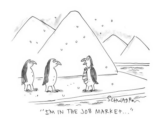 'I'm in the job market. . .'
