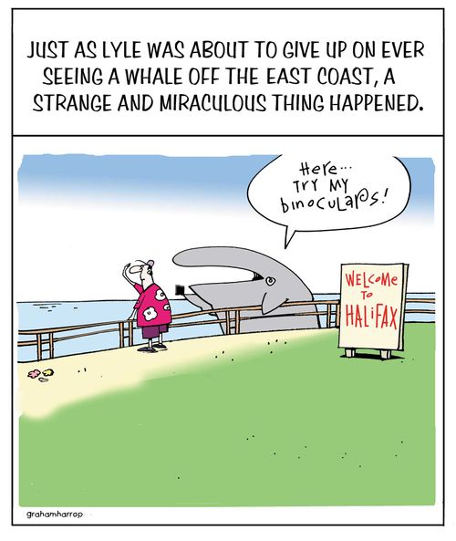 Just as Lyle was about to give up on ever seeing a whale off the east coast, a strange and miraculous thing happened.