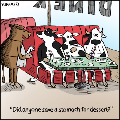 'Did anyone save a stomach for dessert?' 