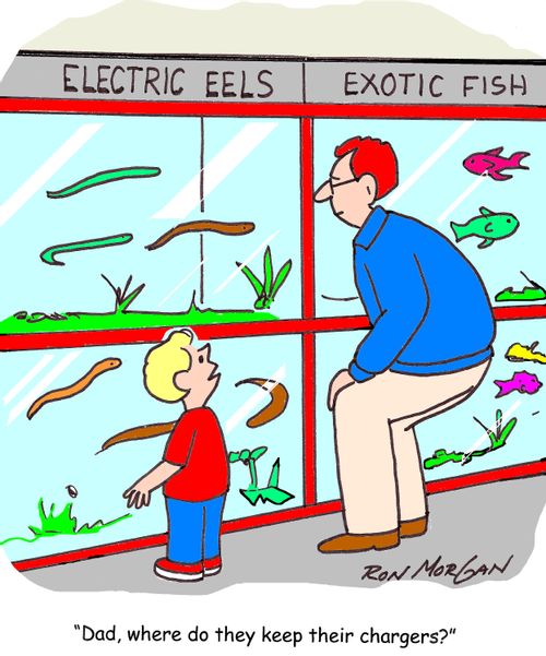 'Dad, where do they keep their chargers?'
