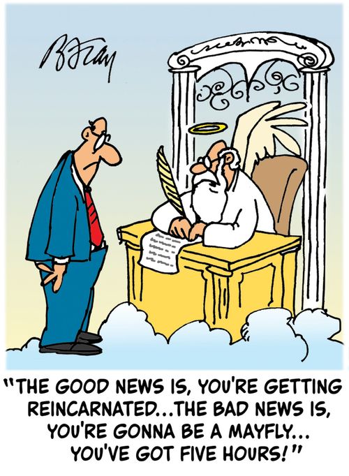 'The good news is, you're getting reincarnated...the bad news is, you're gonna be a mayfly...you've got five hours!'