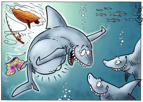 Shark gets a big catch.