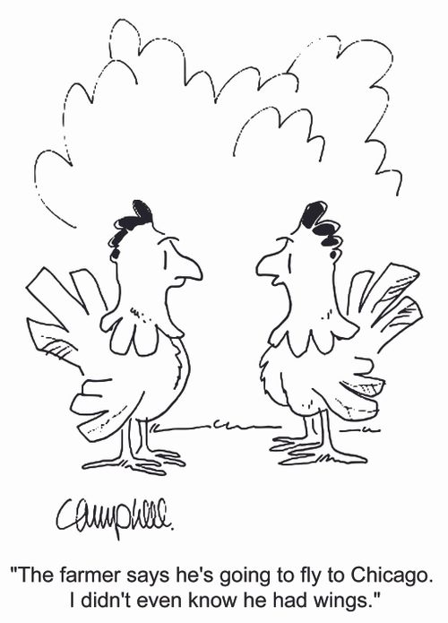 'The farmer says he's going to fly to Chicago. I didn't even know he had wings.'