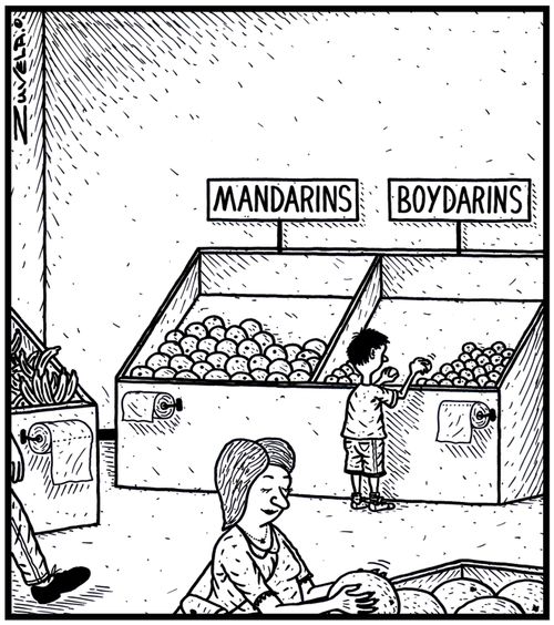 Mandarins and Boydarins