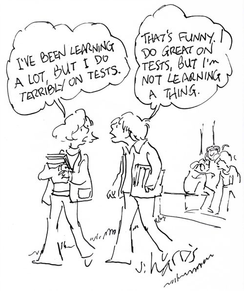 'I've been learning a lot, but I do terribly on tests.' 