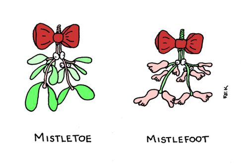 Mistletoe  and  Mistlefoot