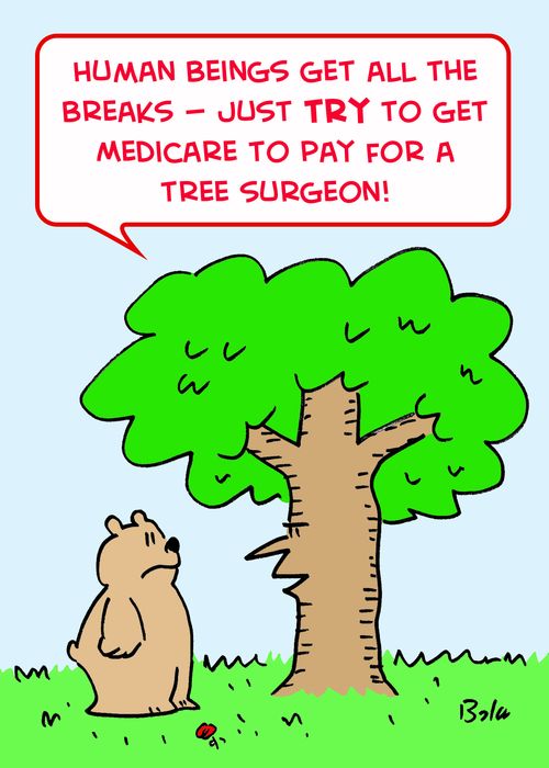 'Human beings get all the breaks -- just TRY to get Medicare to pay for a tree surgeon!'
