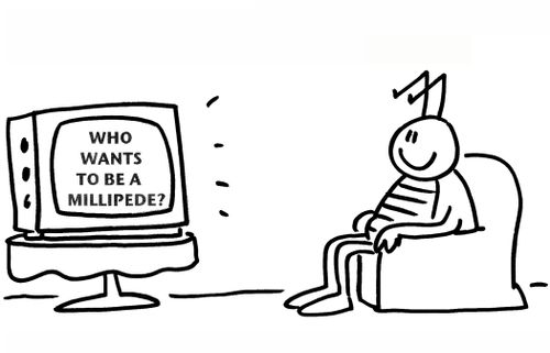 Who Wants to Be A Millipede?