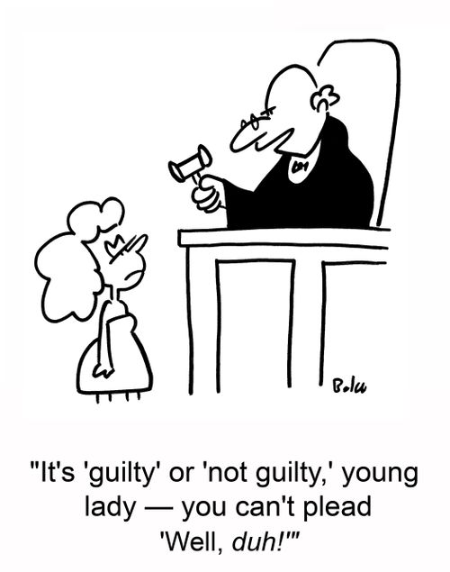 'it's 'guilty' or 'not guilty,' young lady -- you can't plead 'Well, duh!''