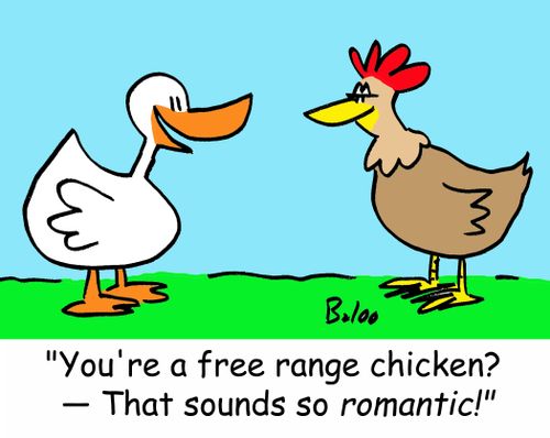 'You're a free range chicken? -- That sounds so romantic!'