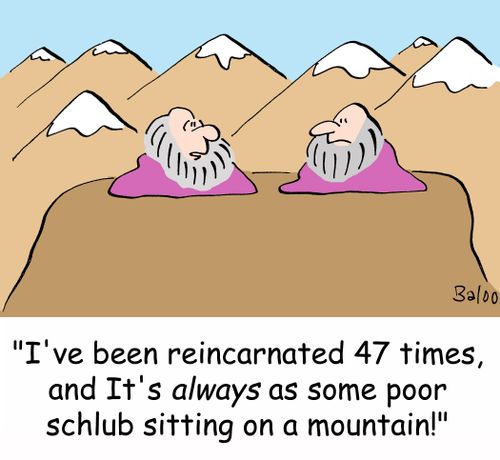 'I've been reincarnated 47 time, and it's ALWAYS as some poor schlub sitting on a mountain!'