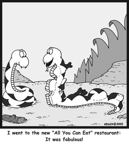 'I went to the new 'All You Can Eat' restaurant: It was fabulous!'