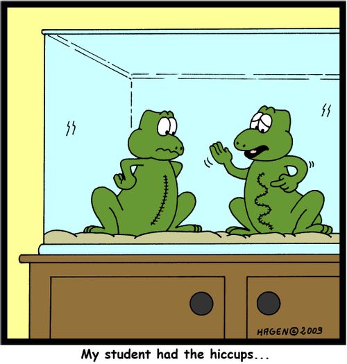 'My student had the hiccups...'