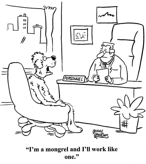 Dog to hirer: 'I'm a mongrel, and I'll work like one.'