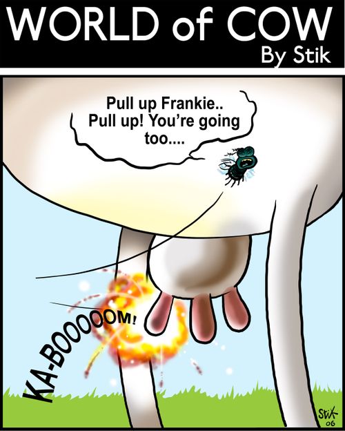 Pull up Frankie...Pull up! You're going too...KA-BOOOOOM!