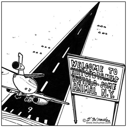 'Welcome to Hippopotamus, Buffalo, Some Animal, New York.'