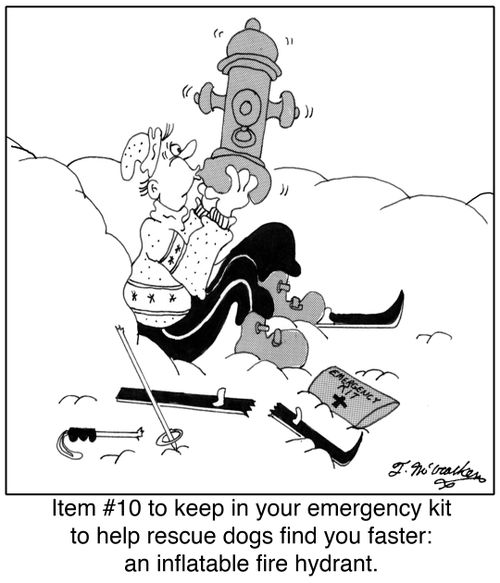 Item #10 to keep in your emergency kit to help rescue dogs find you faster: an inflatable fire hydrant.