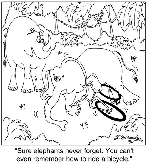 'Sure elephants never forget. You can't even remember how to ride a bicycle.'