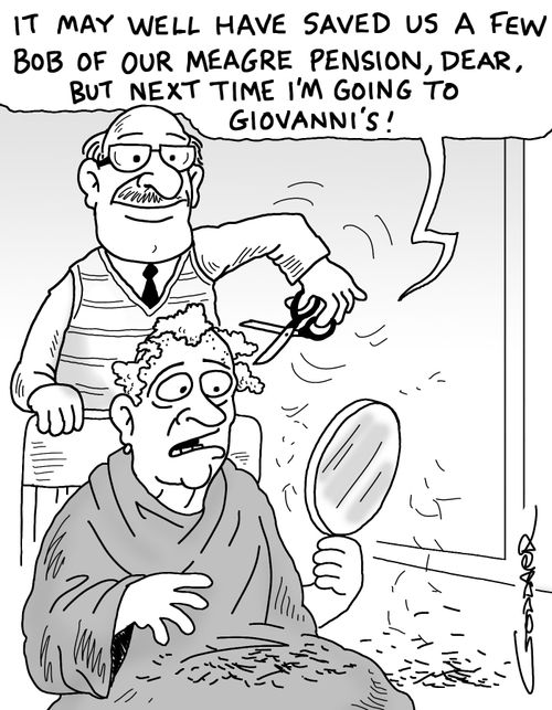 'It may well have saved us a few bob out of our meagre pension, dear, but next time I'm going to Giovanni's!'