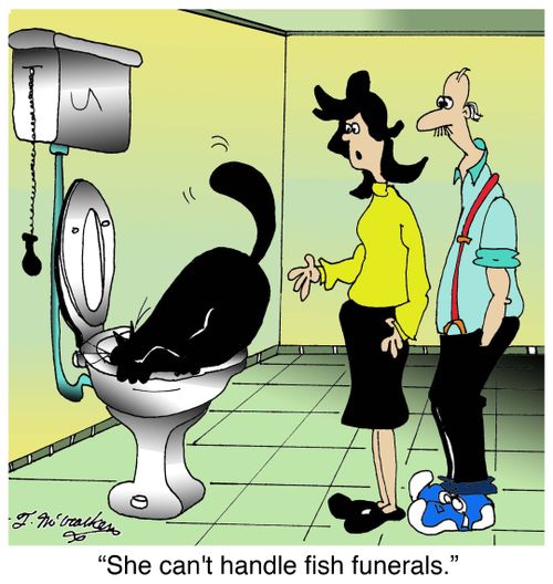 'She can't handle fish funerals.'