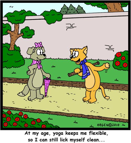 'At my age, yoga keeps me flexible, so I can still lick myself clean...'