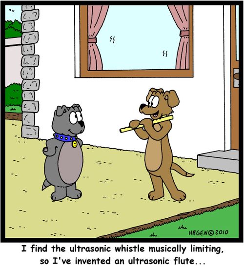 'I find the ultrasonic whistle musically limiting, so I've invented an ultrasonic flute...'