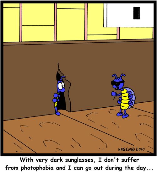 'With very dark sunglasses, I don't suffer from photophobia and I can go out during the day...'