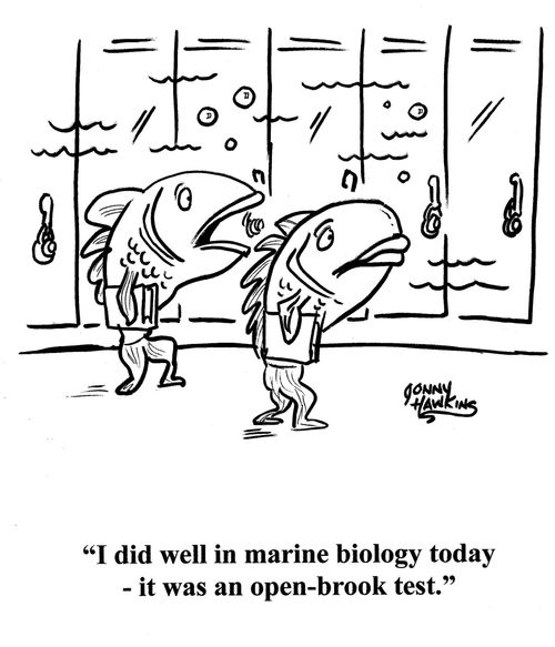 Fish in school to other fish: 'I did well in marine biology today - it was an open-brook test.'