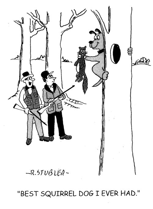 'Best squirrel dog I ever had.'