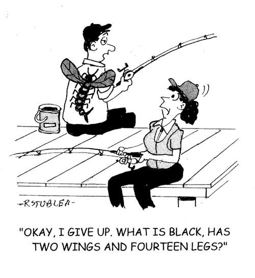 'Okay, I give up. What is black,has two wings and fourteen legs?'