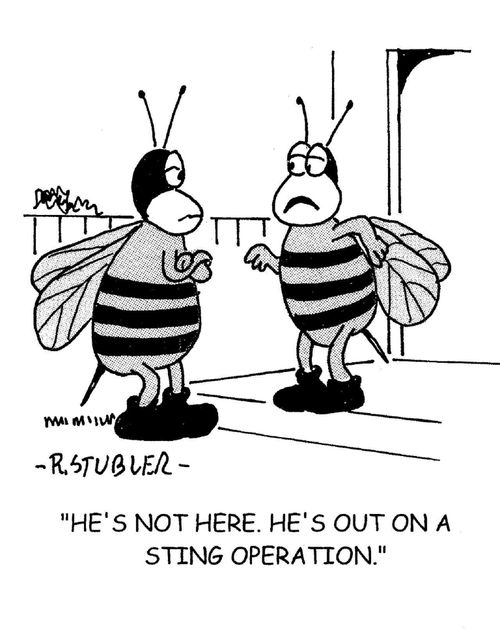 'He's not here.He's out on a sting operation.'