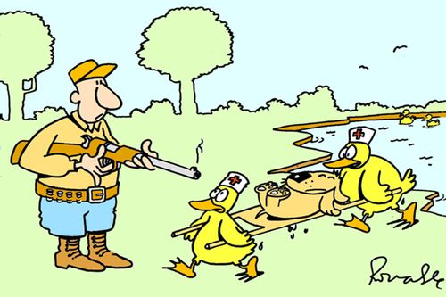 Dog being carried off by ducks.