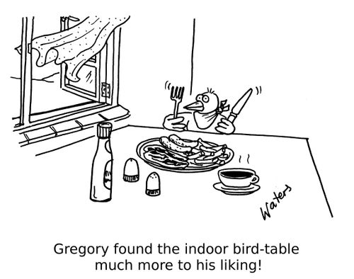 Gregory found the indoor bird-table much more to his liking!