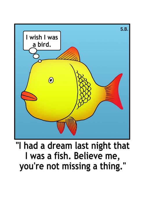 I had a dream last night that I was a fish. Believe me, you're not missing a thing.
