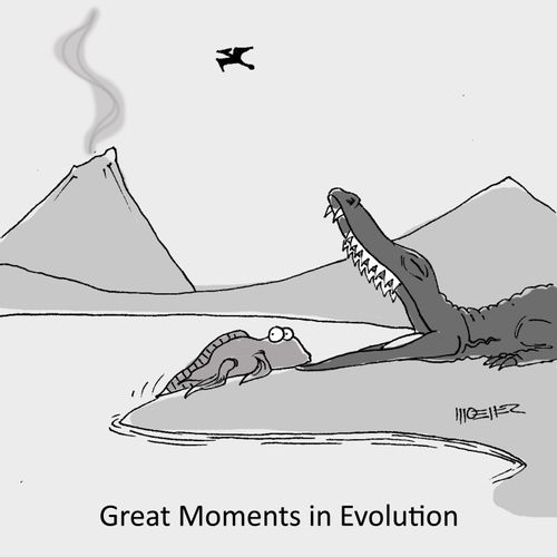 Great Moments in Evolution
