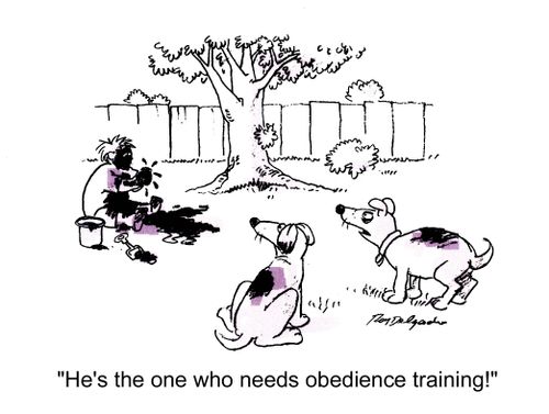 'He's the one who needs obedience training!'