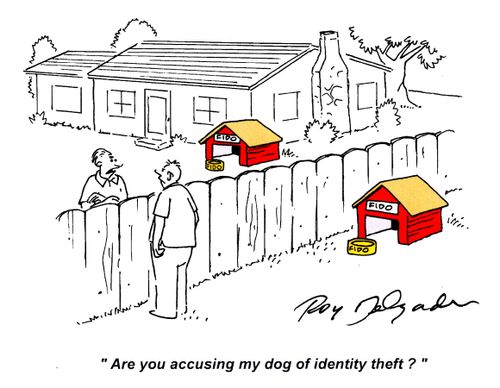 'Are you accusing my dog of identity theft?'