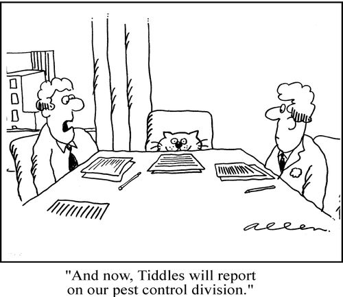 'And now, Tiddles will report on our pest control division.'
