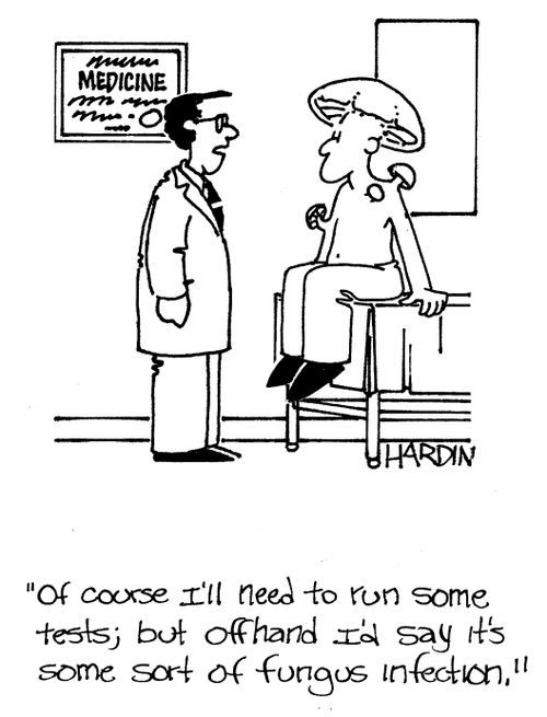 'Of course I'll need to run some tests; but offhand I'd say it's some sort of fungus infection.'