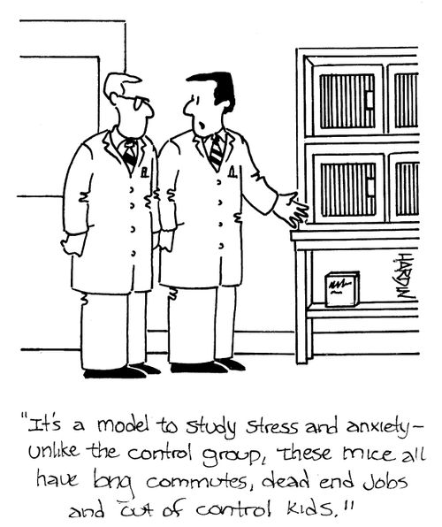 'It's a model to study stress...these mice all have long commutes, dead end jobs and out of control kids.'
