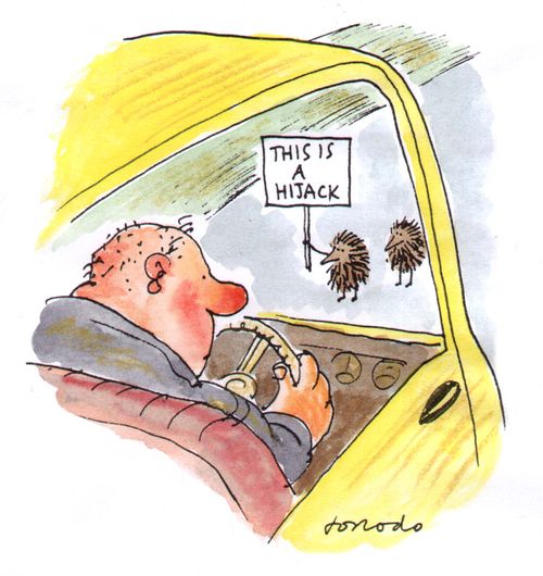 'This is a hijack.'