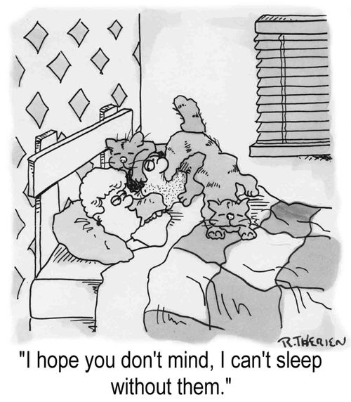 "I hope you don't mind, I can't sleep without them."